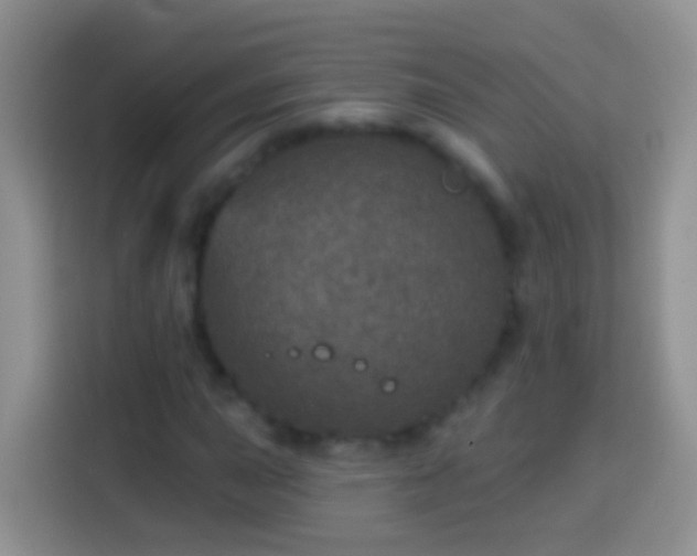 X0000113881015200910011128