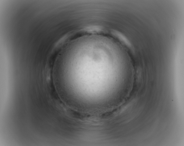 X0000113881016200910011128