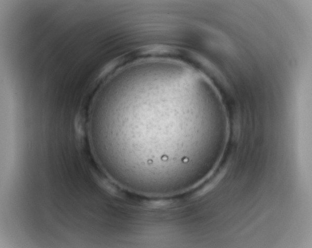 X0000113881017200910011128