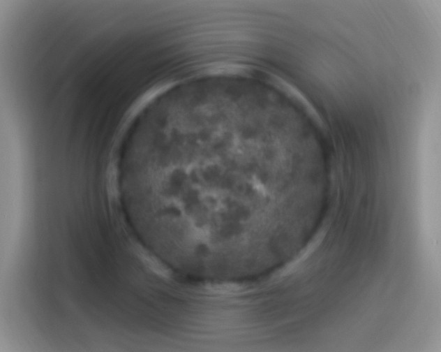 X0000113881019200910011128