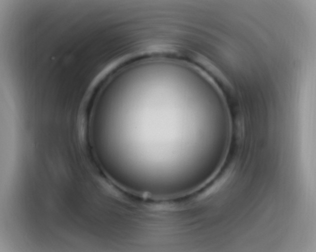 X0000113881021200910011128