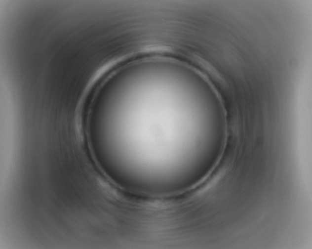 X0000113881022200910011128