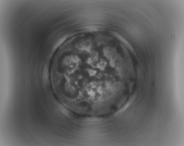 X0000113881023200910011128