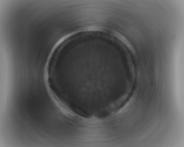 X0000113881024200910011128