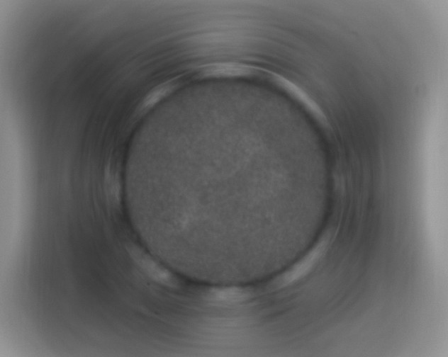 X0000113881025200910011128