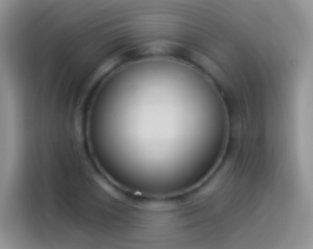 X0000113881026200910011128