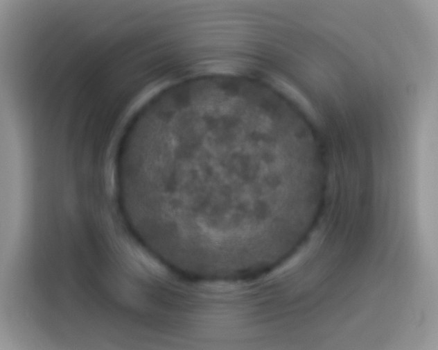 X0000113881027200910011128