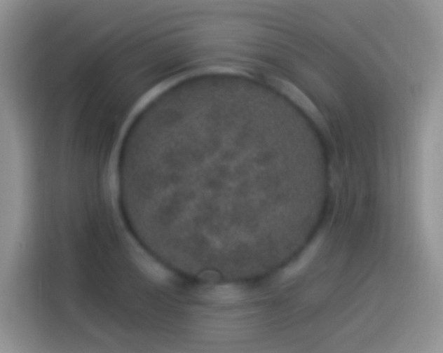 X0000113881028200910011128