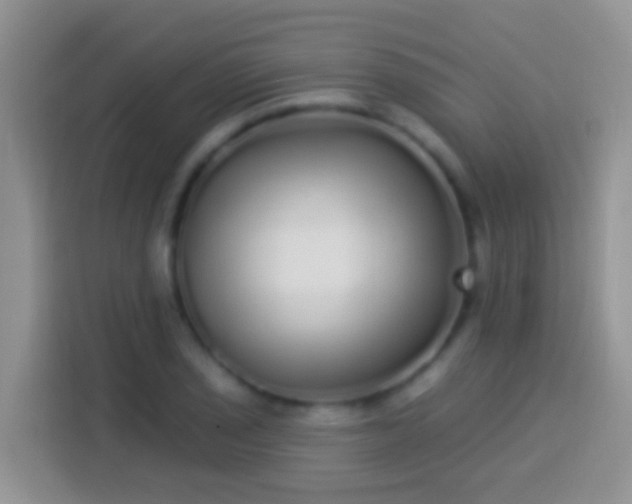 X0000113881029200910011128