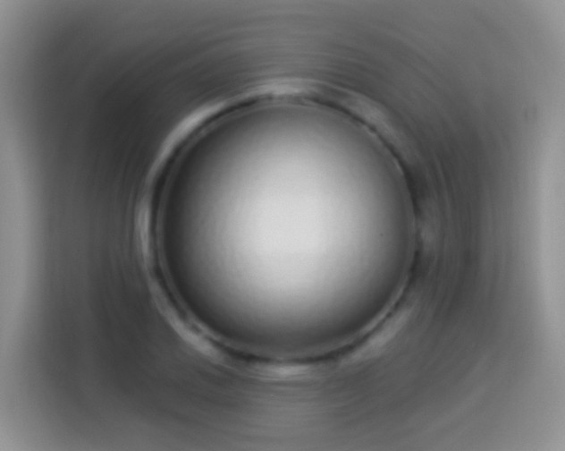 X0000113881030200910011128