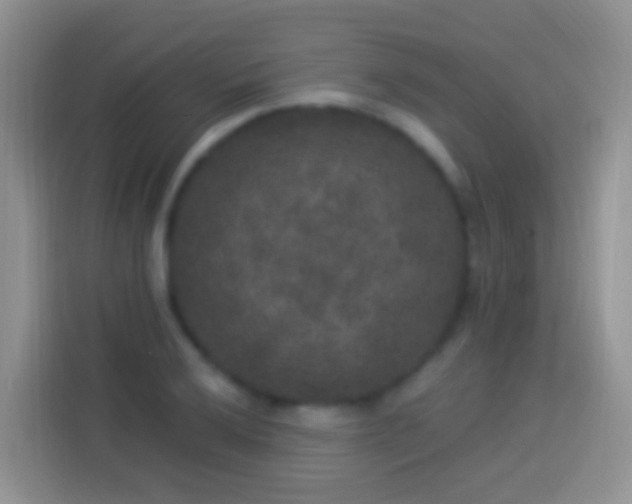 X0000113881032200910011128