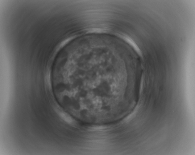 X0000113881035200910011128