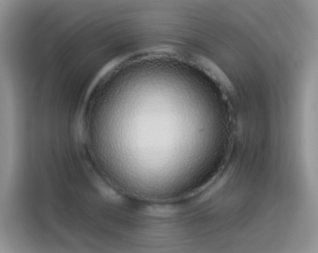 X0000113881036200910011128