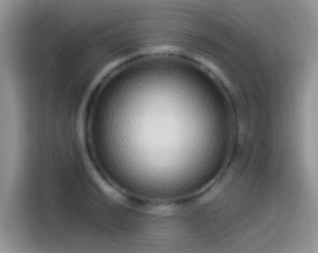 X0000113881038200910011128