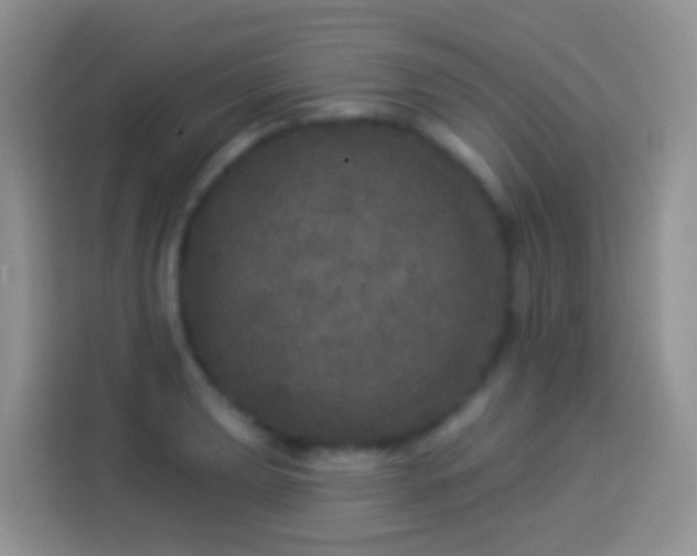 X0000113881039200910011128