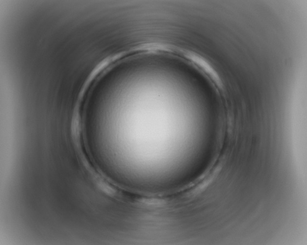 X0000113881040200910011128