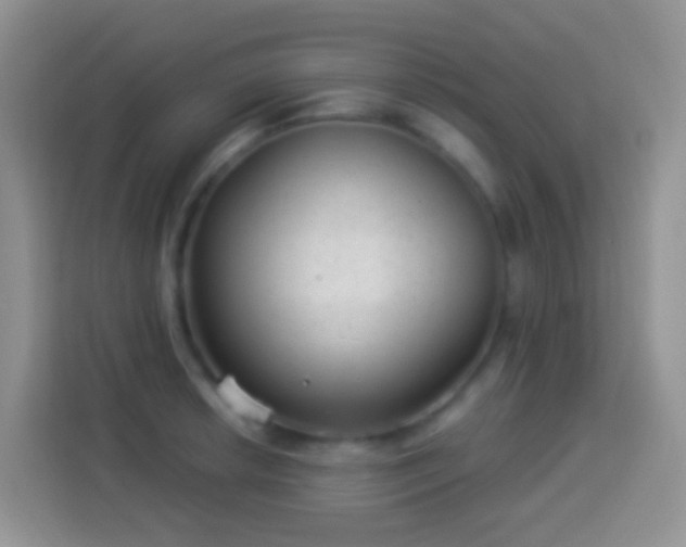 X0000113881042200910011128