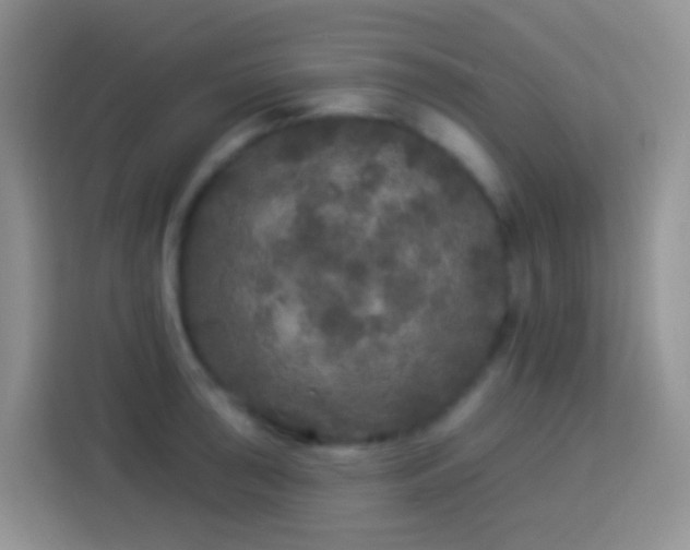 X0000113881043200910011128