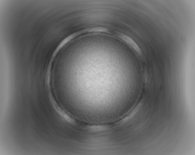 X0000113881044200910011128