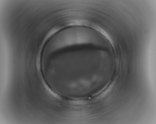 X0000113881045200910011128