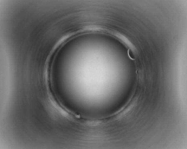 X0000113881046200910011128