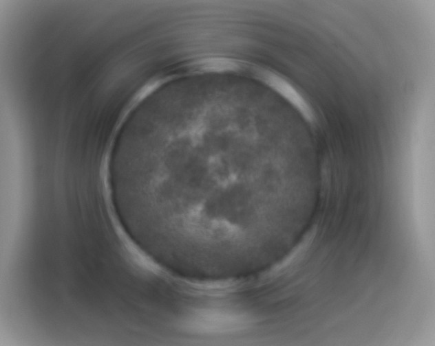 X0000113881047200910011128