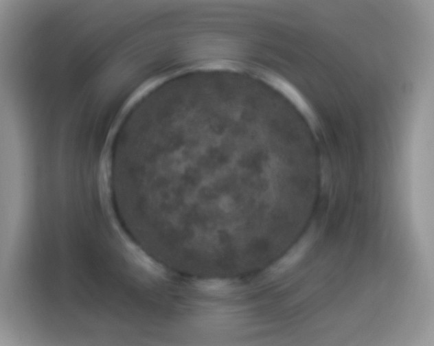 X0000113881048200910011128