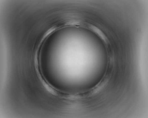 X0000113881050200910011128