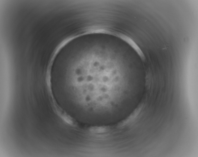 X0000113881051200910011128