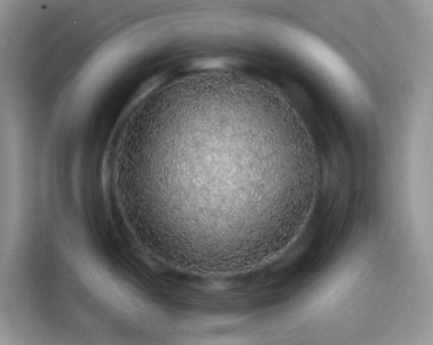 X0000113881052200910011128