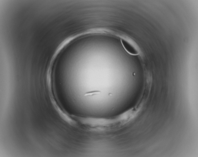 X0000113881054200910011128