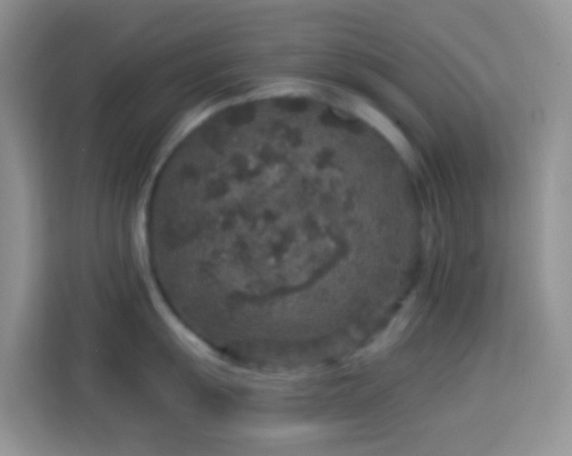 X0000113881055200910011128