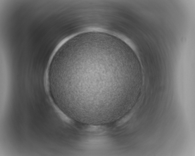 X0000113881056200910011129