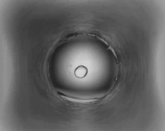 X0000113881057200910011128