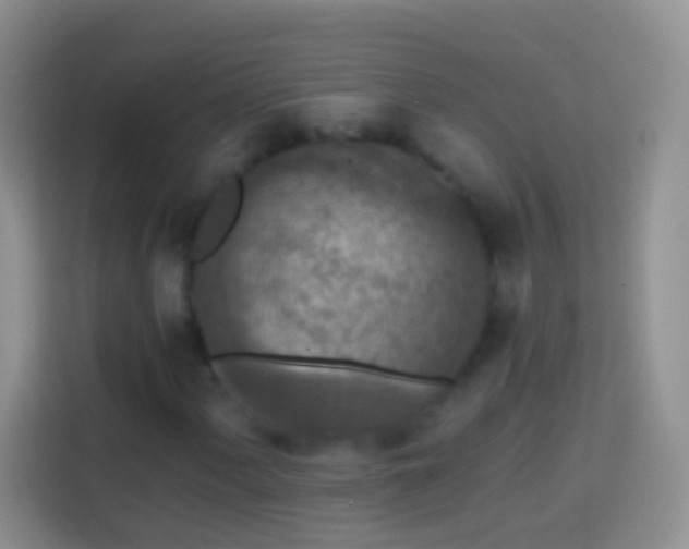 X0000113881060200910011128