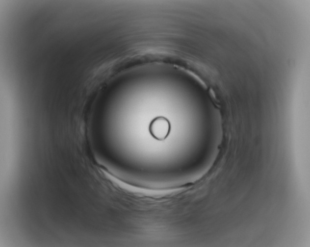 X0000113881061200910011128