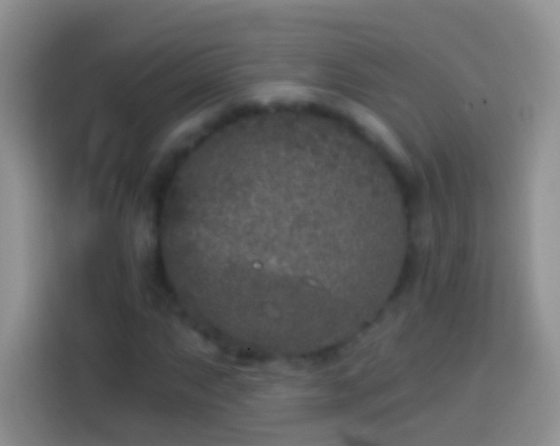 X0000113881063200910011128