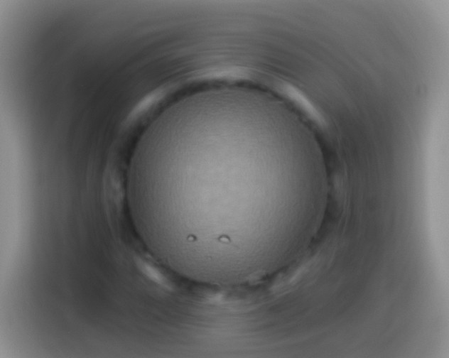 X0000113881064200910011128