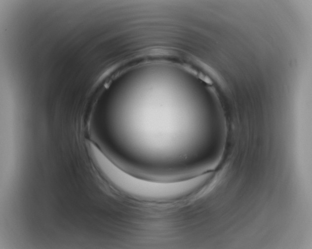 X0000113881065200910011128