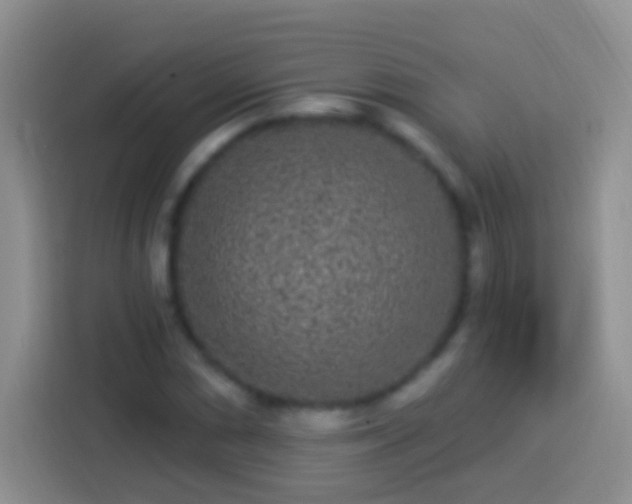 X0000113881066200910011128