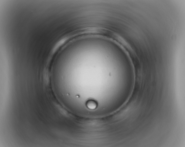 X0000113881067200910011128