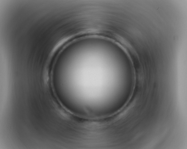 X0000113881070200910011128