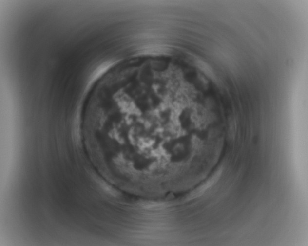 X0000113881071200910011128