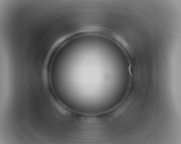 X0000113881072200910011128