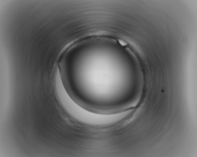 X0000113881073200910011128