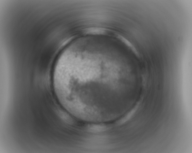 X0000113881074200910011128