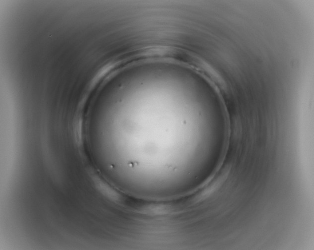 X0000113881075200910011128