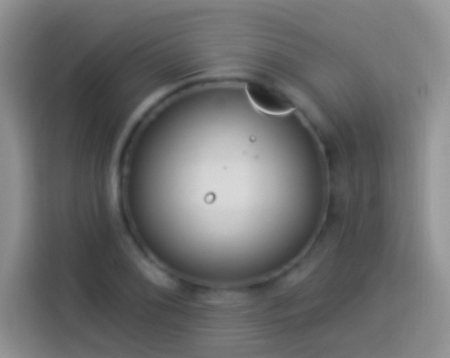 X0000113881076200910011128