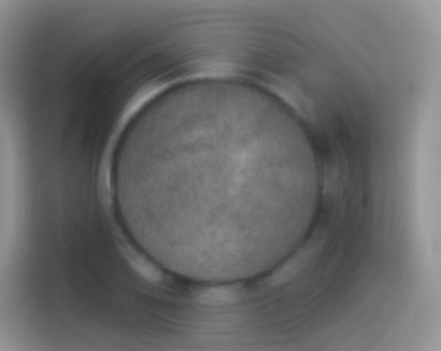 X0000113881078200910011128