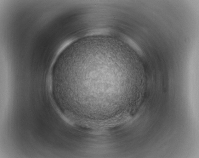 X0000113881079200910011128